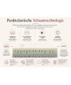 Schaumstoffmatratze BALANCE H3/H4, 15 cm, T30-Schaumstoff, profilierter Schaumstoff, antiallergisch, natürlich